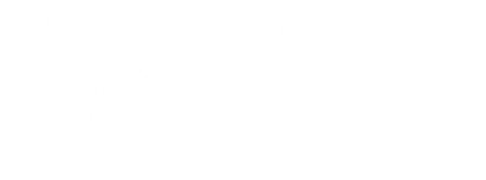 Urban Study